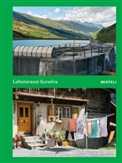 Urs Meyer - Lebensraum Surselva