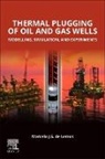 Marcelo J.S. de Lemos - Thermal Plugging of Oil and Gas Wells