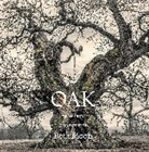 Moon Beth - Oak