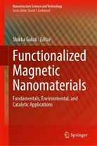 Shikha Gulati - Functionalized Magnetic Nanomaterials