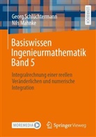 Nils Mahnke, Georg Schlüchtermann - Basiswissen Ingenieurmathematik Band 5