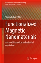 Shikha Gulati - Functionalized Magnetic Nanomaterials