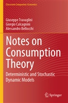 Bellocchi, Alessandro Bellocchi, Giorgio Calcagnini, Giuseppe Travaglini - Notes on Consumption Theory