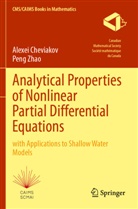 Alexei Cheviakov, Shanghai Maritime University - Analytical Properties of Nonlinear Partial Differential Equations