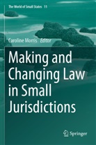 Caroline Morris - Making and Changing Law in Small Jurisdictions
