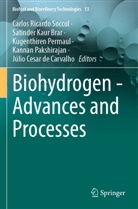 Satinder Kaur Brar, Júlio Cesar de Carvalho, Satinder Kaur Brar, Kannan Pakshirajan, Kugenthiren Permaul, Kugenthiren Permaul et al... - Biohydrogen - Advances and Processes
