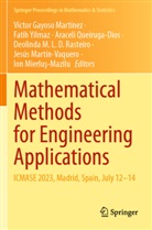 Víctor Gayoso Martínez, Jesús Martín-Vaquero, Ion Mierlu¿-Mazilu, Ion Mierlus-Mazilu, Araceli Queiruga-Dios, Araceli Queiruga-Dios et al... - Mathematical Methods for Engineering Applications