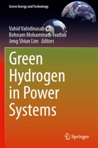 Behnam Mohammadi-ivatloo, Jeng Shiun Lim, Vahid Vahidinasab - Green Hydrogen in Power Systems