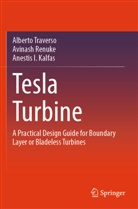 Anestis Kalfas, Anestis I. Kalfas, Avinash Renuke, Alberto Traverso - Tesla Turbine
