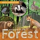 John Wood - Animals in the Forest