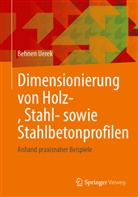 Behnen Uerek - Dimensionierung von Holz-, Stahl- sowie Stahlbetonprofilen