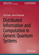 Chris Fields, James Glazebrook - Distributed Information and Computation in Generic Quantum Systems
