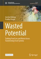 Jocelyn Boiteau, Prabhu Pingali - Wasted Potential