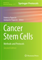 Papaccio, Federica Papaccio, Gianpaolo Papaccio - Cancer Stem Cells