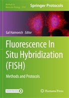 Gal Haimovich - Fluorescence In Situ Hybridization (FISH)