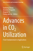Annemie Bogaerts, Chang-jun Liu, Jingyun Ye, Jingyun Ye et al, Guoliang Zhang - Advances in CO2 Utilization