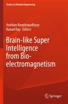 Anirban Bandyopadhyay, Ray, Kanad Ray - Brain-like Super Intelligence from Bio-electromagnetism