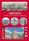 Michael Schmidt - DRESDEN früher, 1945 zerstört und heute