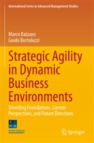 Marco Balzano, Guido Bortoluzzi - Strategic Agility in Dynamic Business Environments