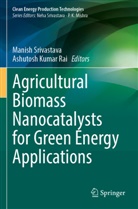 Kumar Rai, Ashutosh Kumar Rai, Manish Srivastava - Agricultural Biomass Nanocatalysts for Green Energy Applications