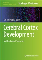 Koh-ichi Nagata - Cerebral Cortex Development