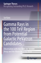 Sei Kato - Gamma Rays in the 100 TeV Region from Potential Galactic PeVatron Candidates