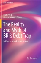 Ming Yu Cheng, Nian Peng, Yu Cheng - The Reality and Myth of BRI's Debt Trap