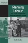 Alina-Sandra Cucu - Planning Labour