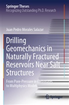 Juan Pedro Morales Salazar - Drilling Geomechanics in Naturally Fractured Reservoirs Near Salt Structures