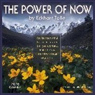 Amber Lotus Publishing, Eckhart Tolle - The Power of Now 2026