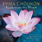 Amber Lotus Publishing, Pema Chodron, Pema Chödrön - Pema Choedroen 2026