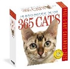 Workman Calendars - 365 Cats 2026