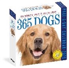 Workman Calendars - 365 Dogs 2026