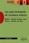 Axelle Degans - Les pays émergents : de nouveaux acteurs : BRIC's : Brésil, Russie, Inde, Chine... Afrique du Sud