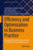 Cristina Blanco González-Tejero, Silvia Giralt Escobar, Alicia Ramírez Orellana, Ali Ramírez Orellana et al, Domingo Enrique Ribeiro-Soriano - Efficiency and Optimization in Business Practice