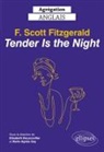 Élisabeth Bouzonviller, BOUZONVILLER/GAY, Collectif, Marie-Agnès Gay - F. Scott Fitzgerald : tender is the night : agrégation anglais