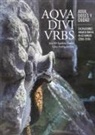 José María Eguileta Franco - Aqua, divi, urbs : agua dioses y ciudad : excavaciones arqueológicas en As Burgas