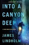 James Lindholm - Into a Canyon Deep