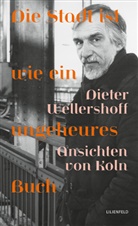 Dieter Wellershoff, Gabriele Ewenz - Die Stadt ist wie ein ungeheures Buch