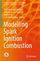 Avinash Kumar Agarwal, Haiwen Ge, Haiwen Ge et al, Avinash Kumar Agarwal, P. A. Lakshminarayanan, J. M. Mallikarjuna - Modelling Spark Ignition Combustion