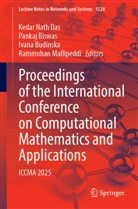 Pankaj Biswas, Ivana Budinska, Ivana Budinska et al, Kedar Nath Das, Rammohan Mallipeddi - Proceedings of the International Conference on Computational Mathematics and Applications