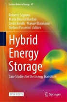 Linda Barelli, Linda Barelli et al, Manuel Baumann, Maria Elisa Gil Bardají, Maria Elisa Gil Bardají, Stefano Passerini... - Hybrid Energy Storage