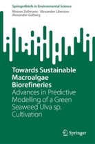 Ale Golberg, Alex Golberg, Alexander Golberg, Alexander Liberzon, Meiron Zollamann, Meiron Zollmann - Towards Sustainable Macroalgae Biorefineries