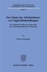 Carina Lietzenmaier - Der Schutz des Arbeitnehmers vor Ungleichbehandlungen