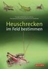 Armin Beckmann, Thomas Fartmann, Jürgen Fischer, Dominik Poniatowski, Daniela Steinlechner, Christian Stettmer... - Heuschrecken im Feld bestimmen