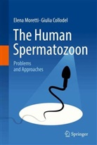 Giulia Collodel, Elena Moretti - The Human Spermatozoon