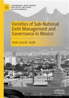 Heidi Jane M Smith, Heidi Jane M. Smith - Varieties of Sub-National Debt Management and Governance in Mexico