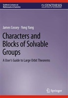 James Cossey, Yong Yang - Characters and Blocks of Solvable Groups