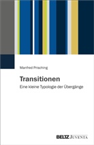 Manfred Prisching - Transitionen