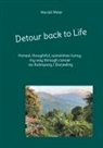 Harald Meier - Detour back to Life
